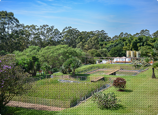 Investimento em meio ambiente